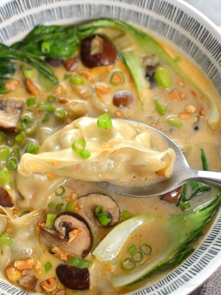 Gyoza Suppe
